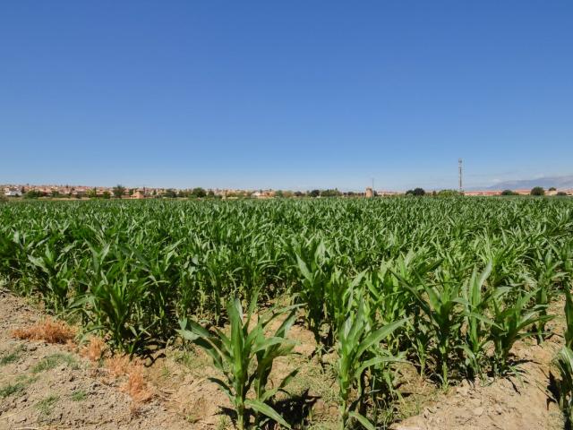 Chalet en venta en Comarca de la Vega de Granada, Andalucía