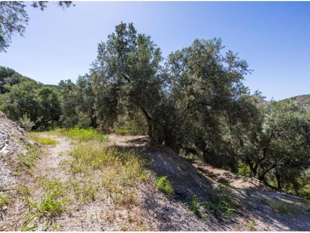 Local Comercial en venta en Comarca de la Alpujarra Granadina, Andalucía