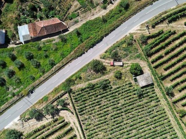 Terreno venda em Lamego, Viseu