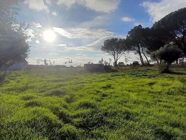 Terreno venda em Guarda, Seia