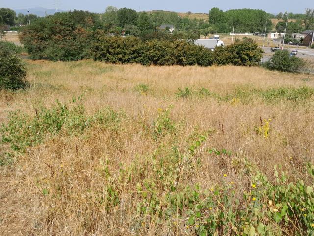 Terreno en venta en Dehesas, Ponferrada