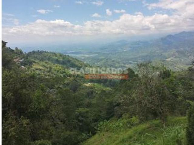 Finca en venta en Caicedonia, Valle Del Cauca