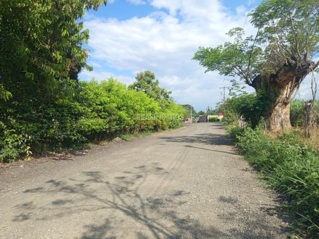 Finca en venta en Sur, Candelaria