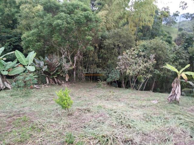 Fincas y Casas Campestres, Venta, Guacarí