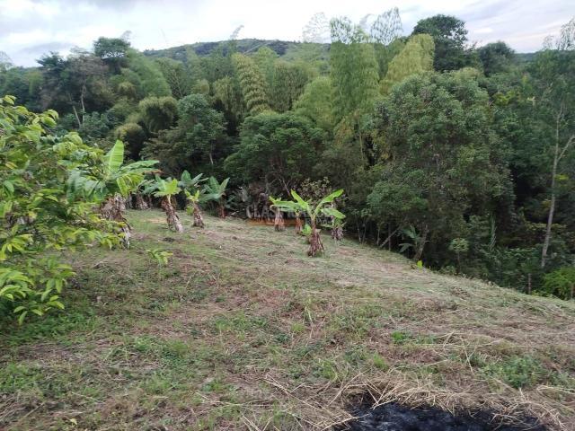 Fincas y Casas Campestres, Venta, Guacarí