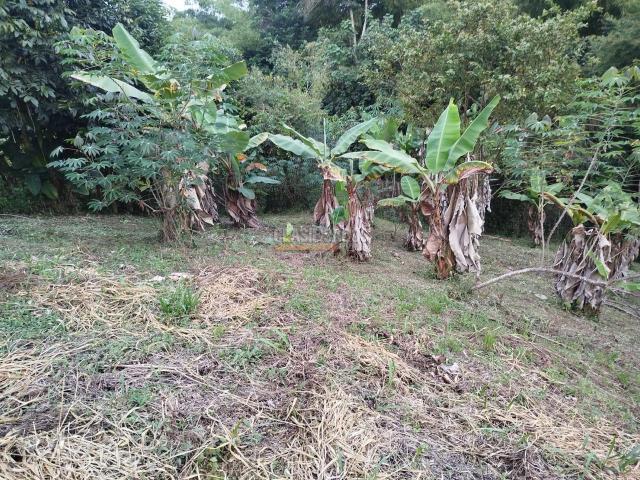Fincas y Casas Campestres, Venta, Guacarí