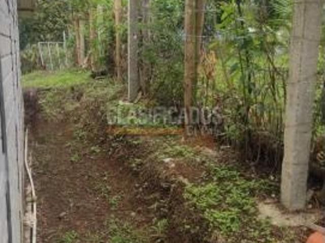 Fincas y Casas Campestres, Venta, Guacarí