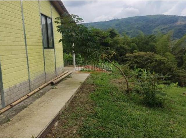 Fincas y Casas Campestres, Venta, Guacarí