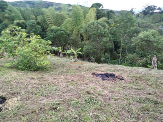 Fincas y Casas Campestres, Venta, Guacarí