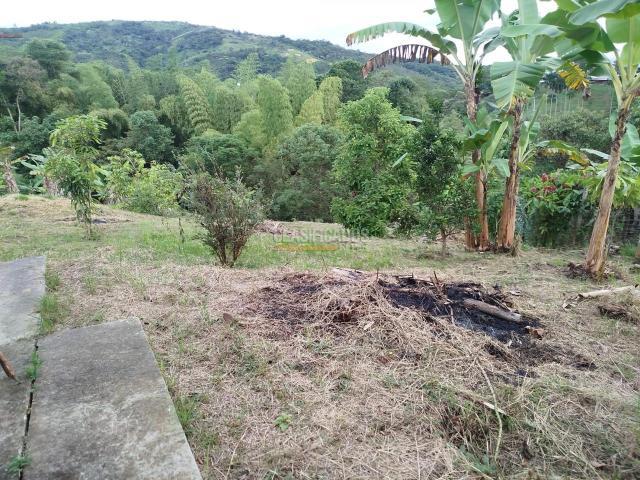 Fincas y Casas Campestres, Venta, Guacarí