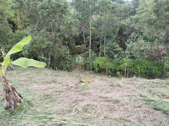 Fincas y Casas Campestres, Venta, Guacarí