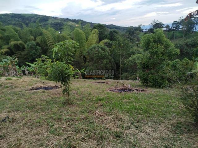 Fincas y Casas Campestres, Venta, Guacarí