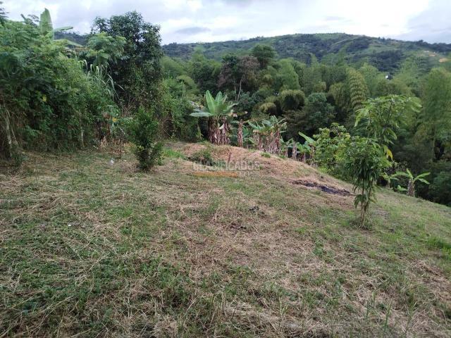 Fincas y Casas Campestres, Venta, Guacarí