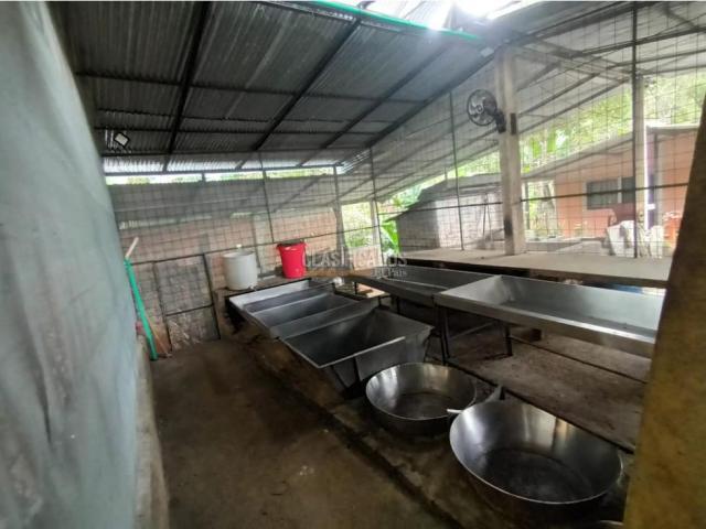 Fincas y Casas Campestres, Venta, Guacarí