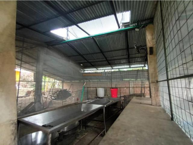 Fincas y Casas Campestres, Venta, Guacarí