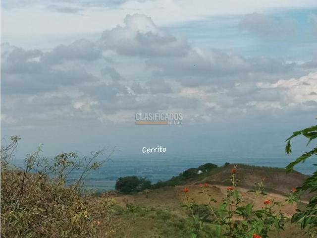 Fincas y Casas Campestres, Venta, Guacarí