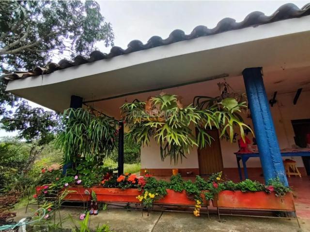 Fincas y Casas Campestres, Venta, Guacarí