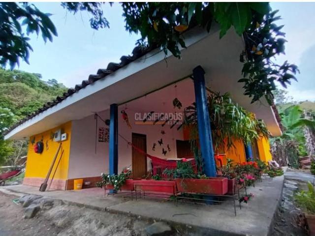 Fincas y Casas Campestres, Venta, Guacarí