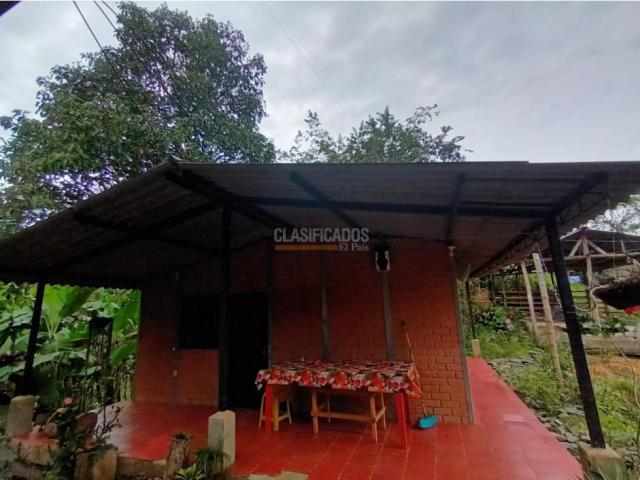 Fincas y Casas Campestres, Venta, Guacarí