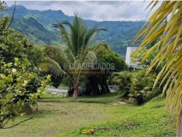 Fincas y Casas Campestres, Venta, La Vega