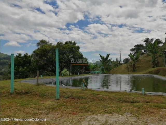 Fincas y Casas Campestres, Venta, La Vega