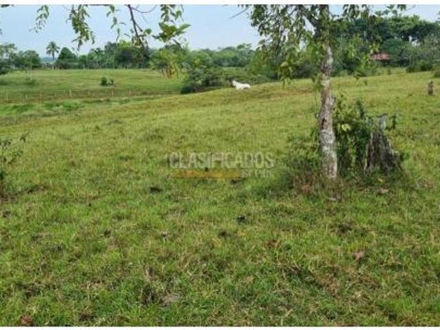 Fincas y Casas Campestres, Venta, Puerto Asis