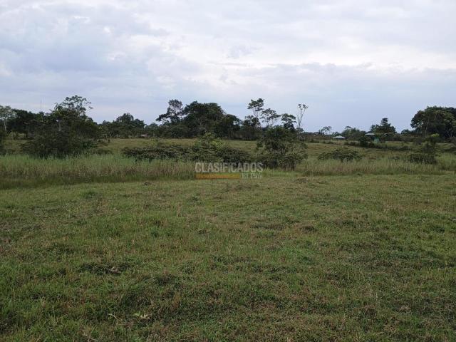 Fincas y Casas Campestres, Venta, Puerto Asis