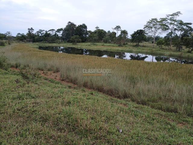 Fincas y Casas Campestres, Venta, Puerto Asis