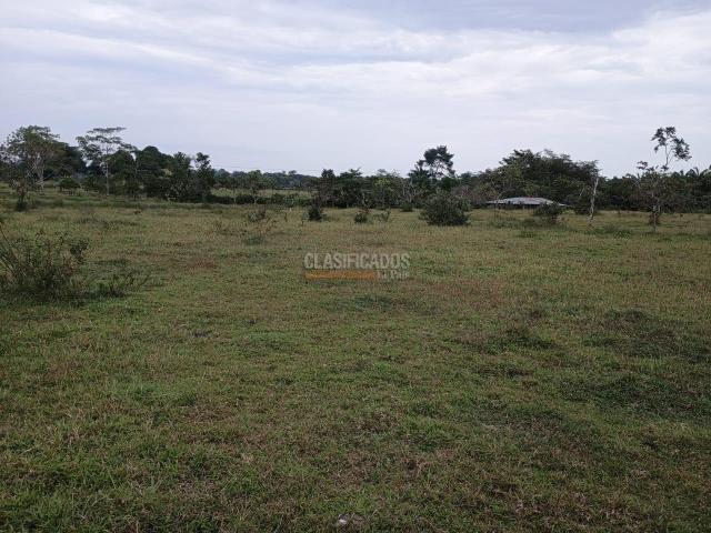 Fincas y Casas Campestres, Venta, Puerto Asis