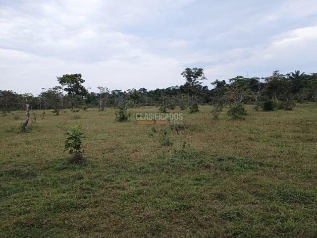 Fincas y Casas Campestres, Venta, Puerto Asis