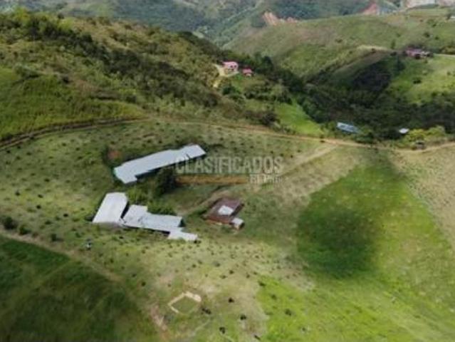 Finca en venta en Restrepo, Valle Del Cauca