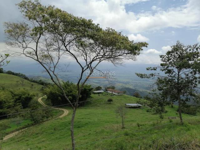 Fincas y Casas Campestres, Venta, San Pedro