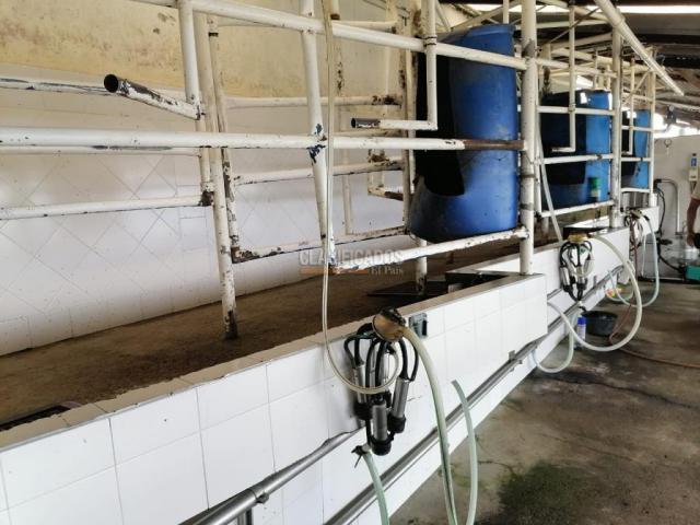 Fincas y Casas Campestres, Venta, San Pedro