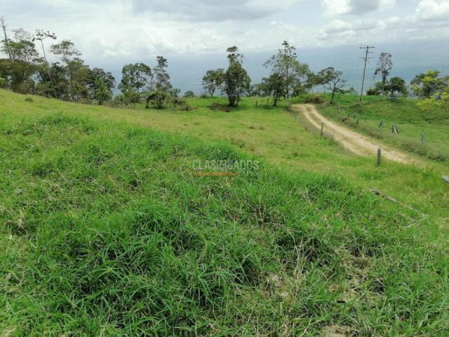 Fincas y Casas Campestres, Venta, San Pedro