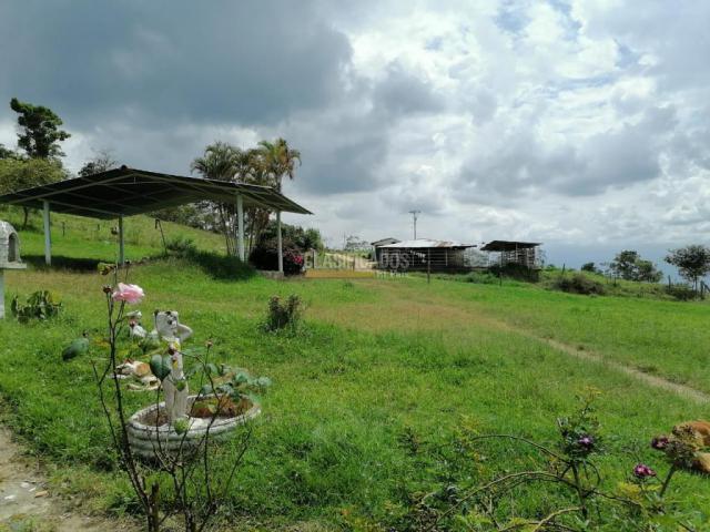 Fincas y Casas Campestres, Venta, San Pedro