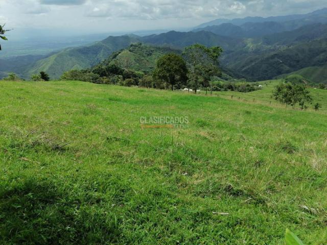 Fincas y Casas Campestres, Venta, San Pedro