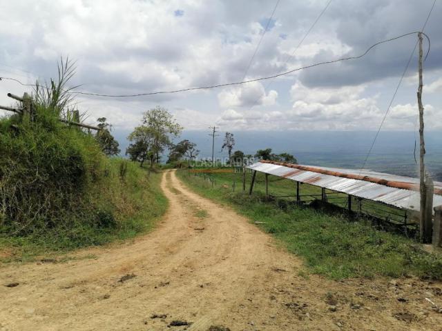 Fincas y Casas Campestres, Venta, San Pedro