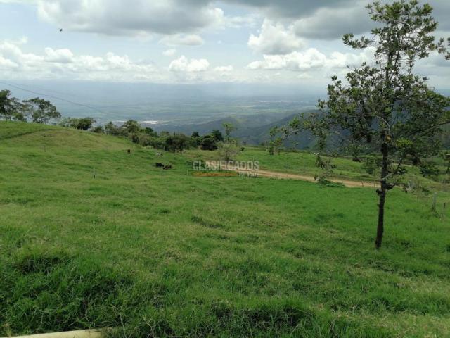 Fincas y Casas Campestres, Venta, San Pedro