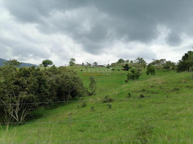 Fincas y Casas Campestres, Venta, San Pedro