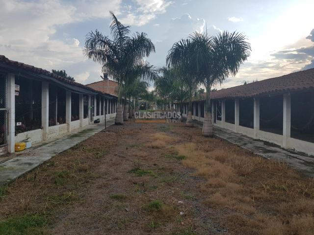 Fincas y Casas Campestres, Venta, San Pedro