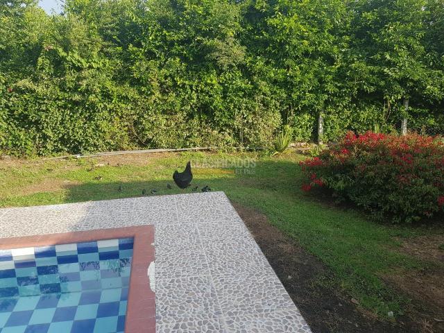 Fincas y Casas Campestres, Venta, San Pedro