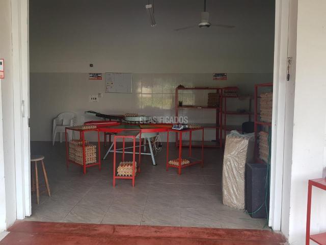 Fincas y Casas Campestres, Venta, San Pedro