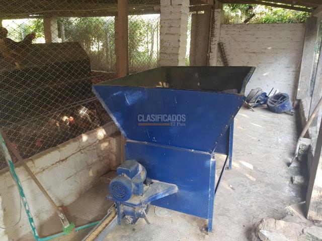 Fincas y Casas Campestres, Venta, San Pedro