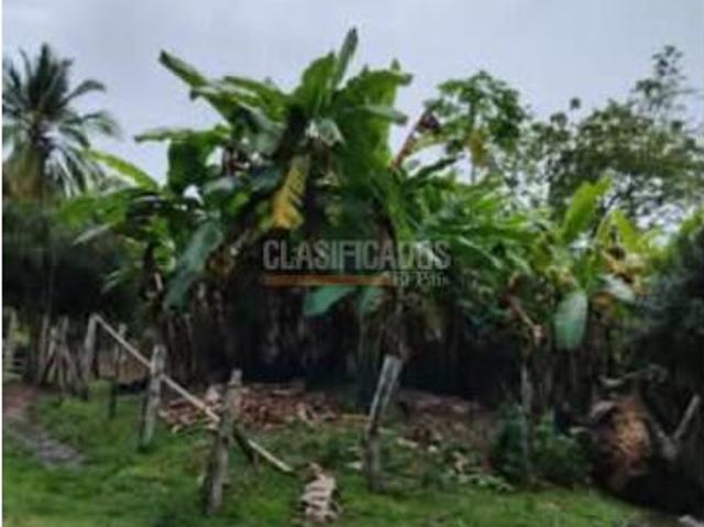 Finca en venta en Tolima