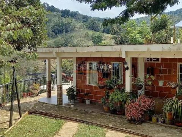 Finca en venta en Sur, Vijes