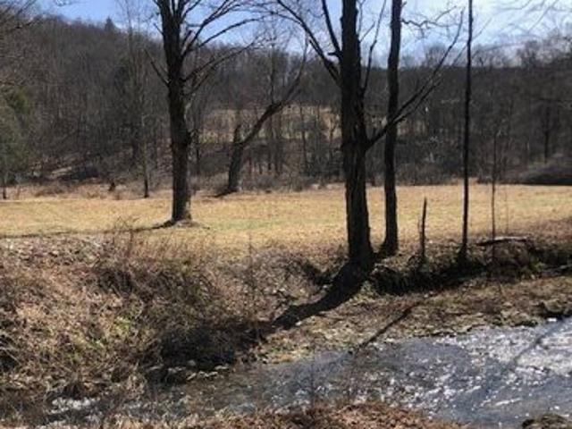 Land for sale in Walton, New York