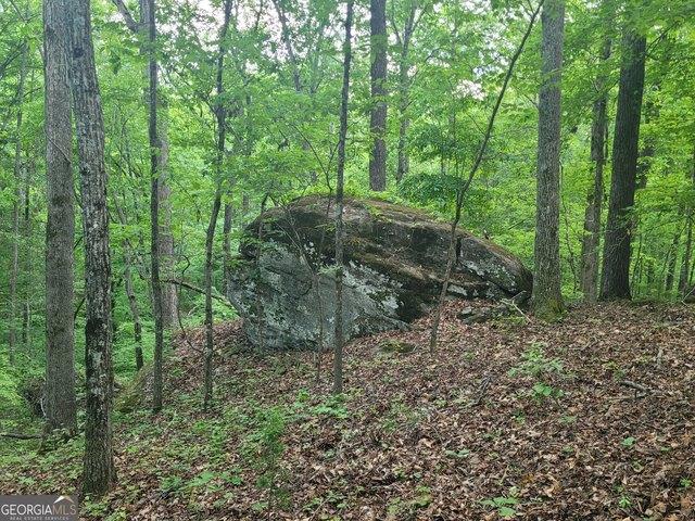 Land for sale in Jackson, Georgia