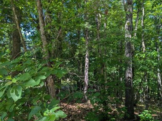 Land for sale in Stone, Missouri