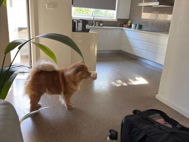 Room for rent in New South Wales