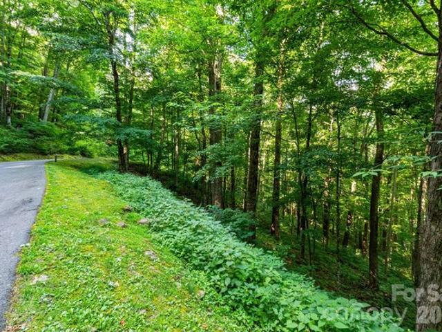 Land for sale in Haywood, North Carolina